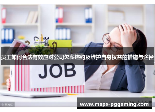 员工如何合法有效应对公司欠薪违约及维护自身权益的措施与途径