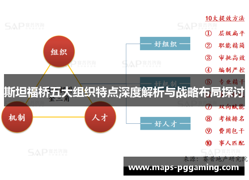 斯坦福桥五大组织特点深度解析与战略布局探讨